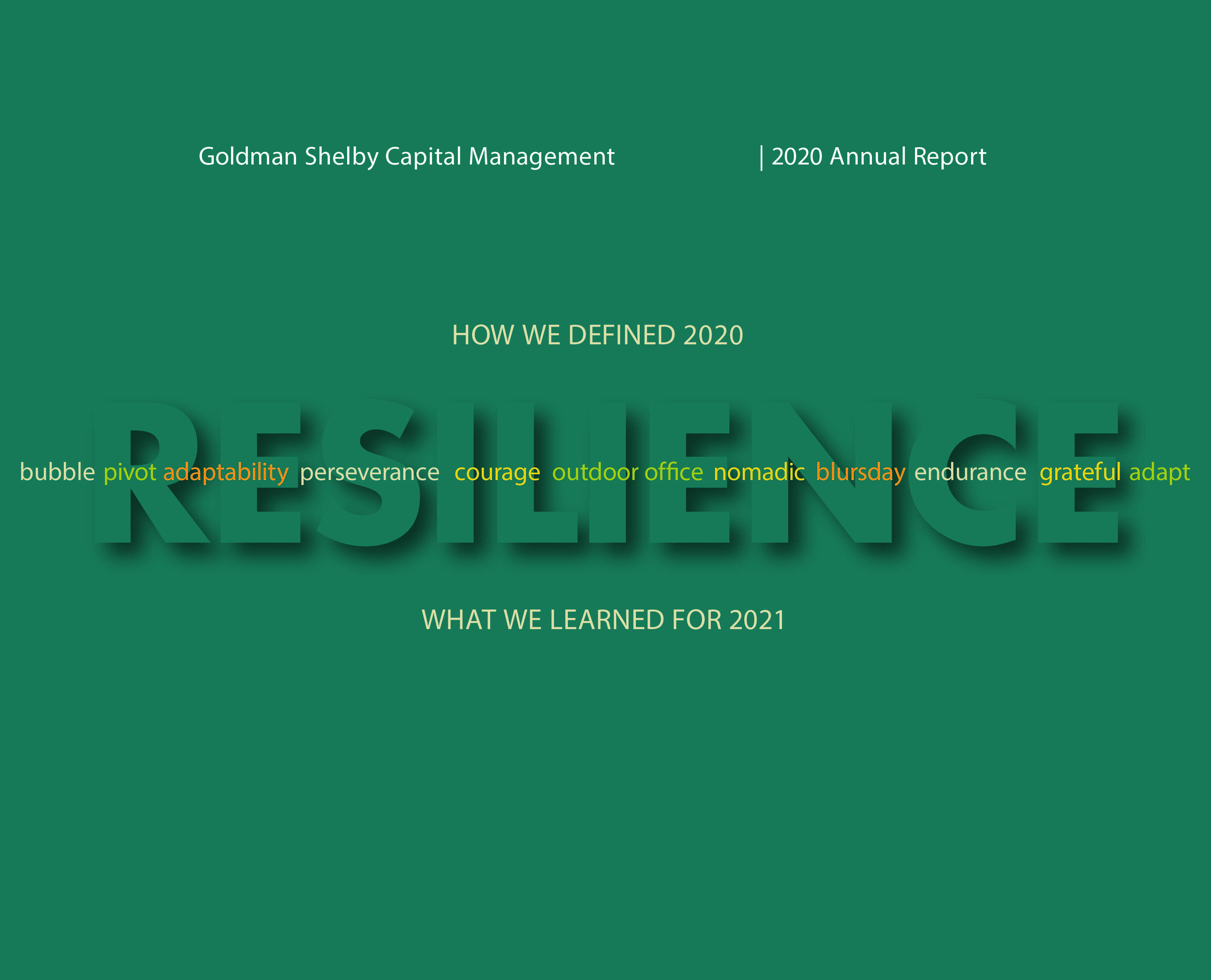 2020 Annual Report 